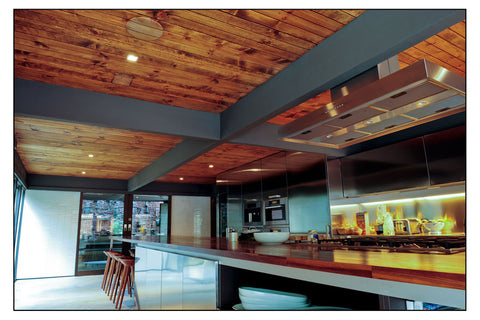 Sleek kitchen with a bold flare